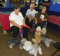 Rhonda, Lee and June with Eileen, Haley, Flint and Izzi